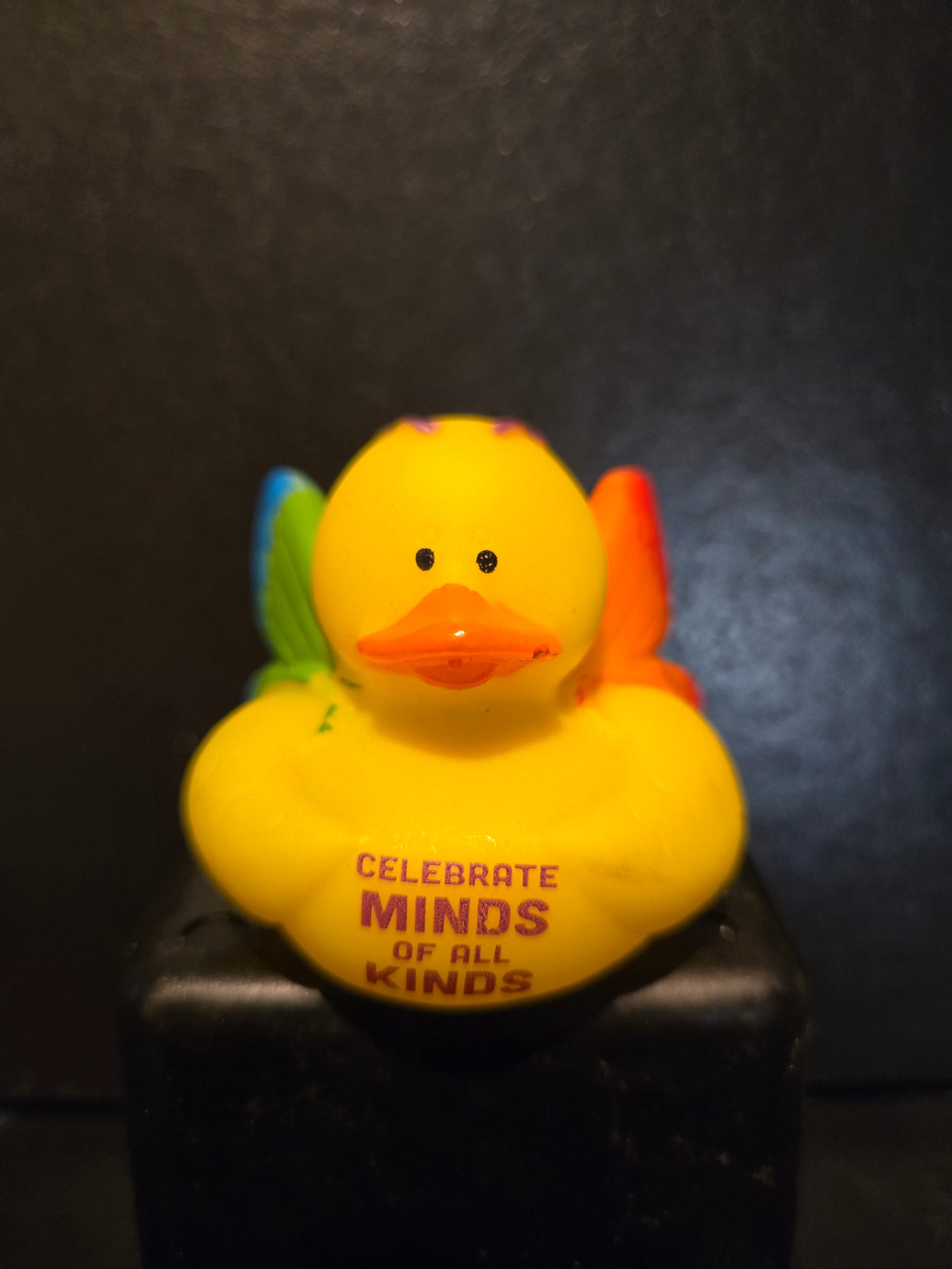 Mental health duckies
